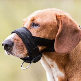 Мек намордник за кучета Trixie Muzzle Loop с регулируема обиколка